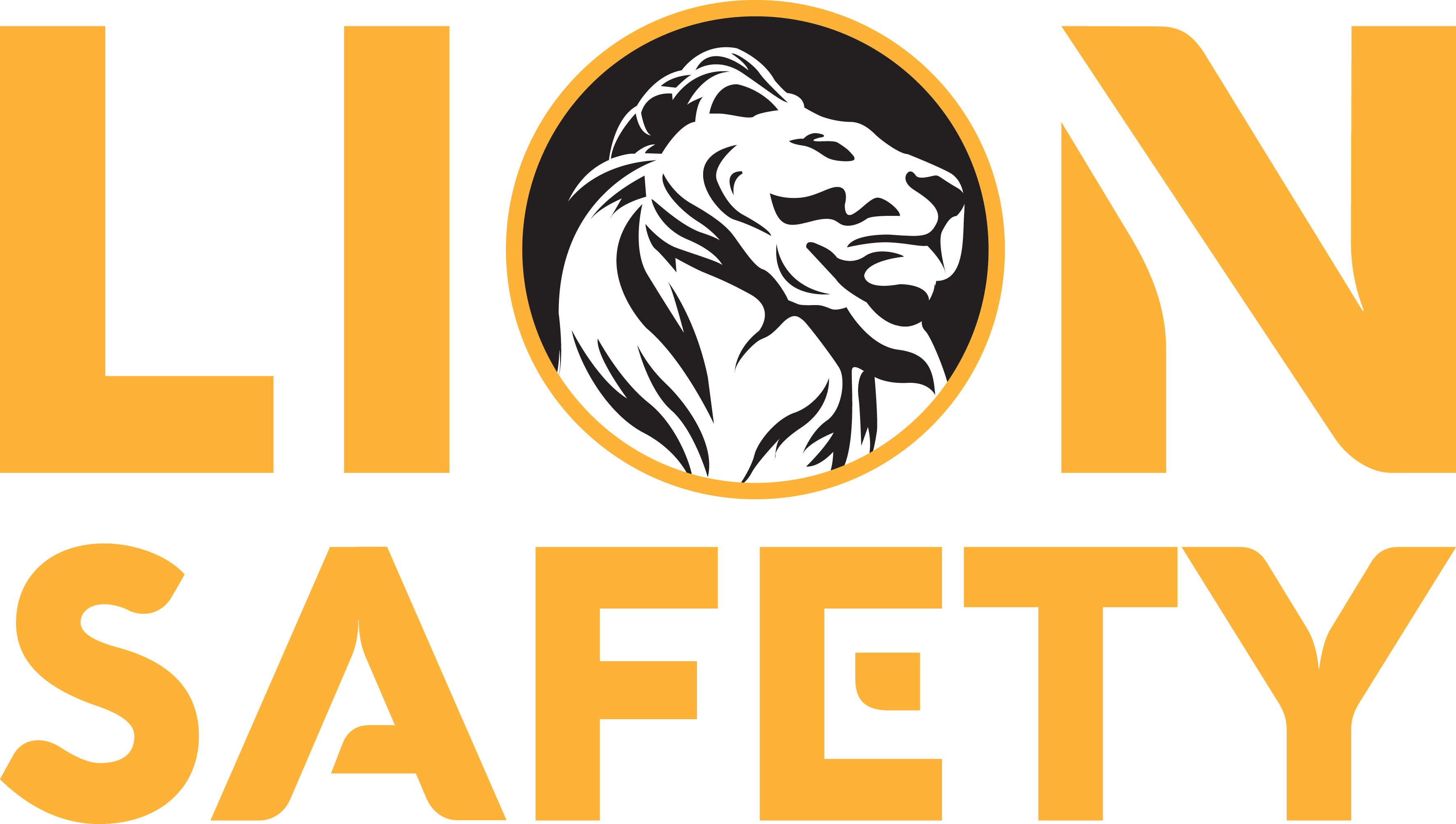 What does LION sell? - Lion Safety